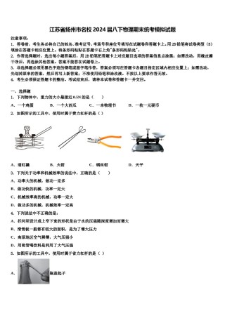 江苏省扬州市名校2024届八下物理期末统考模拟试题含解析.doc