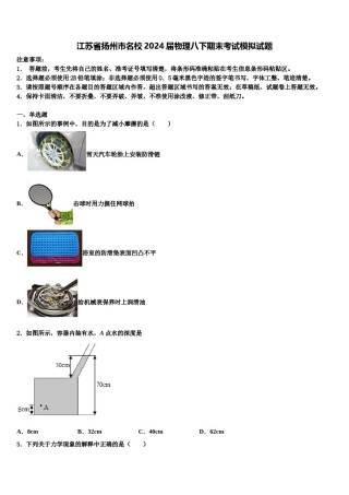 江苏省扬州市名校2024届物理八下期末考试模拟试题含解析.doc