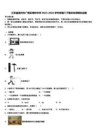 江苏省扬州市广陵区梅岭中学2023-2024学年物理八下期末检测模拟试题含解析.doc