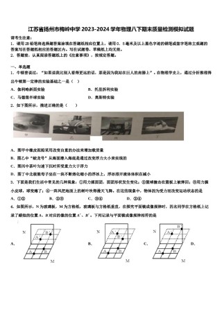 江苏省扬州市梅岭中学2023-2024学年物理八下期末质量检测模拟试题含解析.doc