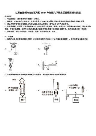 江苏省扬州市江都区八校2024年物理八下期末质量检测模拟试题含解析.doc