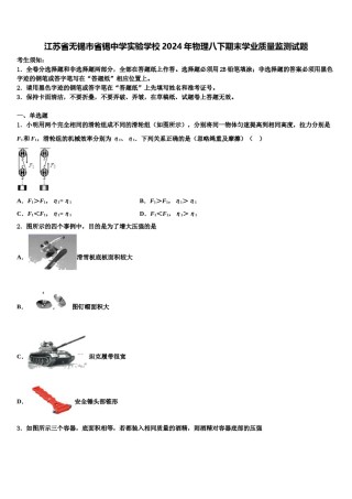 江苏省无锡市省锡中学实验学校2024年物理八下期末学业质量监测试题含解析.doc