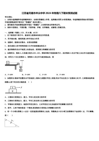 江苏省无锡市羊尖中学2024年物理八下期末预测试题含解析.doc