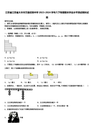 江苏省江苏省大丰市万盈初级中学2023-2024学年八下物理期末学业水平测试模拟试题含解析.doc