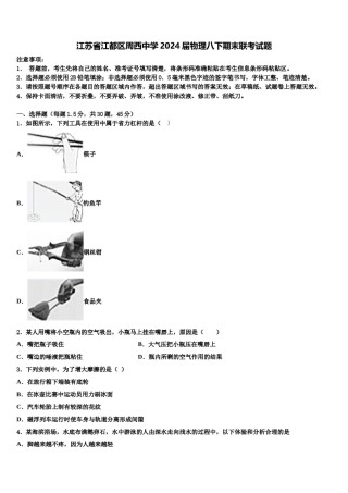 江苏省江都区周西中学2024届物理八下期末联考试题含解析.doc