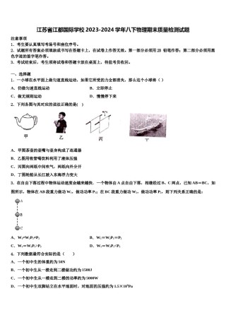 江苏省江都国际学校2023-2024学年八下物理期末质量检测试题含解析.doc