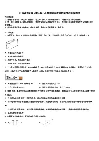 江苏省沭阳县2024年八下物理期末教学质量检测模拟试题含解析.doc