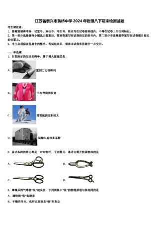 江苏省泰兴市黄桥中学2024年物理八下期末检测试题含解析.doc