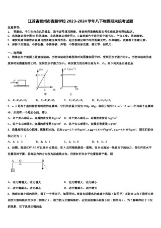 江苏省泰州市青藤学校2023-2024学年八下物理期末统考试题含解析.doc