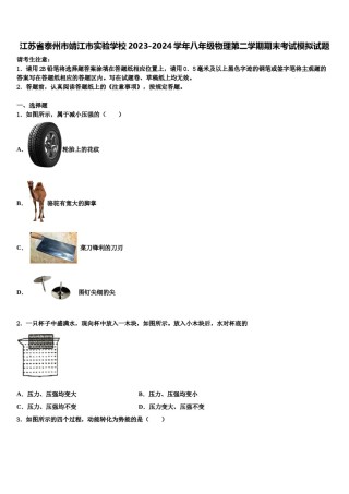 江苏省泰州市靖江市实验学校2023-2024学年八年级物理第二学期期末考试模拟试题含解析.doc
