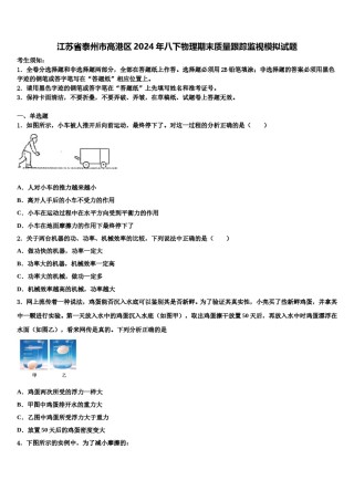 江苏省泰州市高港区2024年八下物理期末质量跟踪监视模拟试题含解析.doc