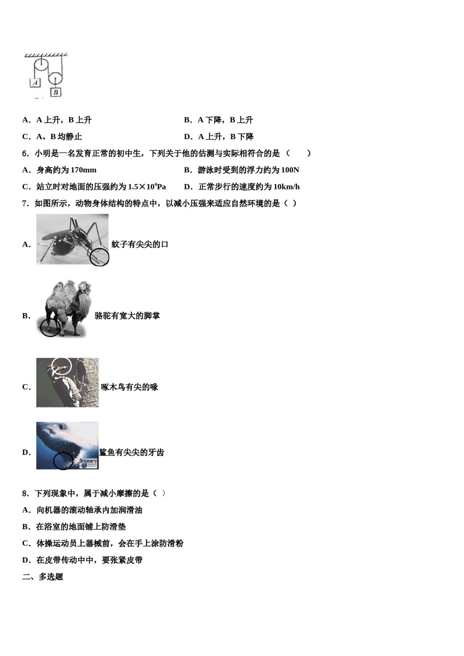 江苏省海门市东洲国际2024届物理八下期末学业质量监测试题含解析.doc_第2页