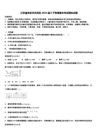 江苏省淮安市洪泽区2024届八下物理期末考试模拟试题含解析.doc