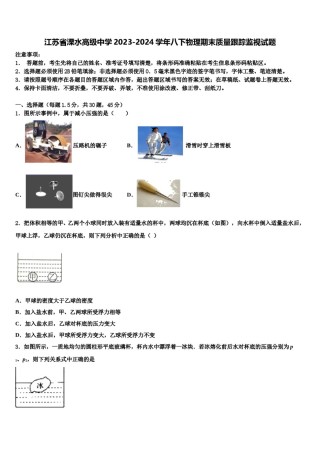 江苏省溧水高级中学2023-2024学年八下物理期末质量跟踪监视试题含解析.doc