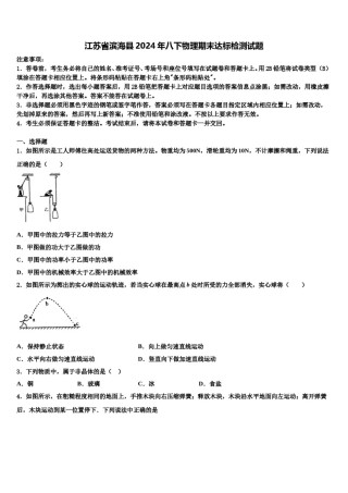 江苏省滨海县2024年八下物理期末达标检测试题含解析.doc