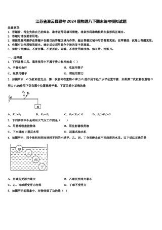 江苏省灌云县联考2024届物理八下期末统考模拟试题含解析.doc