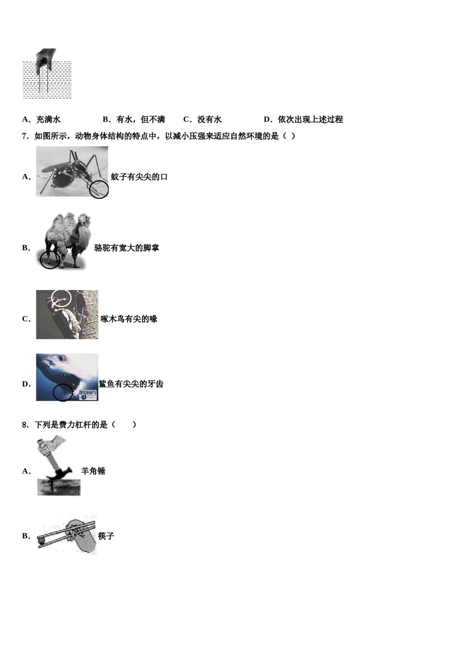 江苏省盐城中学2023-2024学年八下物理期末调研试题含解析.doc_第2页
