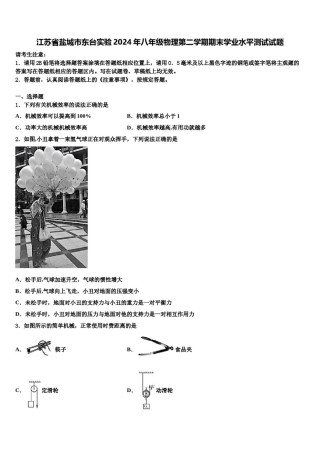 江苏省盐城市东台实验2024年八年级物理第二学期期末学业水平测试试题含解析.doc