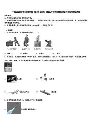 江苏省盐城市初级中学2023-2024学年八下物理期末综合测试模拟试题含解析.doc