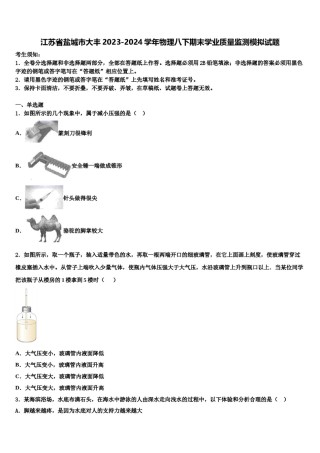 江苏省盐城市大丰2023-2024学年物理八下期末学业质量监测模拟试题含解析.doc