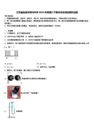 江苏省盐城市獐沟中学2024年物理八下期末综合测试模拟试题含解析.doc
