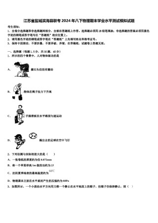江苏省盐城滨海县联考2024年八下物理期末学业水平测试模拟试题含解析.doc