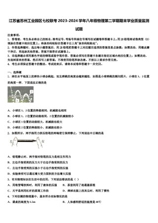 江苏省苏州工业园区七校联考2023-2024学年八年级物理第二学期期末学业质量监测试题含解析.doc