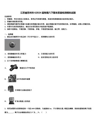 江苏省苏州市62024届物理八下期末质量检测模拟试题含解析.doc