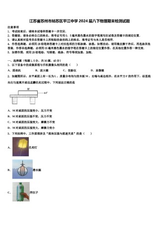 江苏省苏州市姑苏区平江中学2024届八下物理期末检测试题含解析.doc