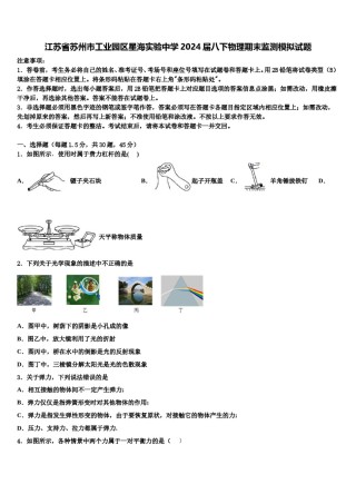 江苏省苏州市工业园区星海实验中学2024届八下物理期末监测模拟试题含解析.doc