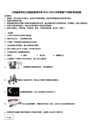 江苏省苏州市工业园区星湾中学2023-2024学年物理八下期末考试试题含解析.doc