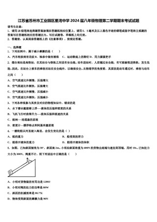 江苏省苏州市工业园区星湾中学2024届八年级物理第二学期期末考试试题含解析.doc