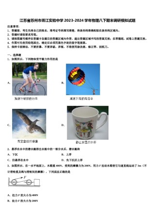 江苏省苏州市胥江实验中学2023-2024学年物理八下期末调研模拟试题含解析.doc