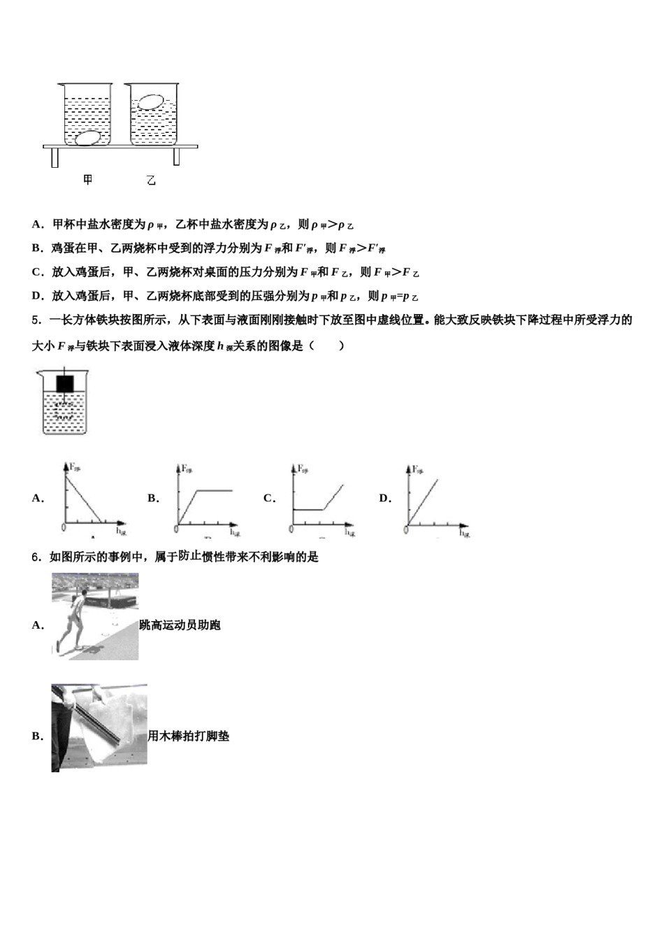 江苏省连云港市新海实验中学2024届物理八下期末考试模拟试题含解析.doc_第2页