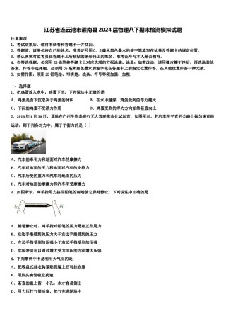 江苏省连云港市灌南县2024届物理八下期末检测模拟试题含解析.doc