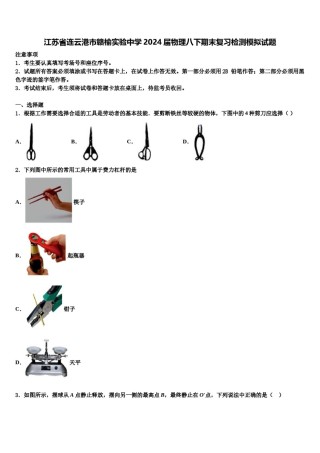 江苏省连云港市赣榆实验中学2024届物理八下期末复习检测模拟试题含解析.doc