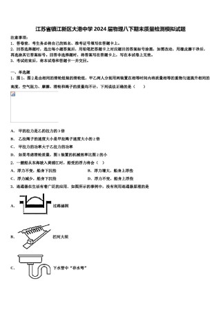 江苏省镇江新区大港中学2024届物理八下期末质量检测模拟试题含解析.doc