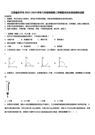 江西省乐平市2023-2024学年八年级物理第二学期期末综合测试模拟试题含解析.doc