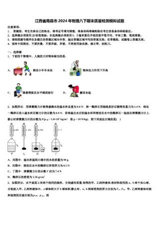 江西省南昌市2024年物理八下期末质量检测模拟试题含解析.doc