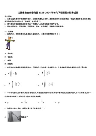 江西省吉安市泰和县2023-2024学年八下物理期末联考试题含解析.doc