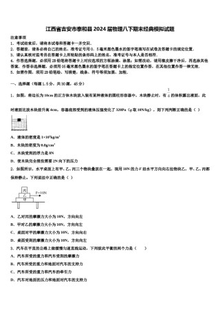 江西省吉安市泰和县2024届物理八下期末经典模拟试题含解析.doc