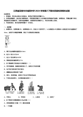 江西省宜春市丰城四中学2024年物理八下期末质量检测模拟试题含解析.doc