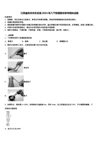 江西省抚州市乐安县2024年八下物理期末联考模拟试题含解析.doc