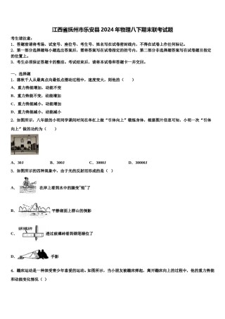 江西省抚州市乐安县2024年物理八下期末联考试题含解析.doc