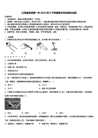 江西省景德镇一中2024年八下物理期末考试模拟试题含解析.doc