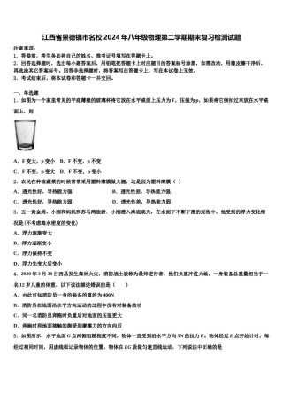 江西省景德镇市名校2024年八年级物理第二学期期末复习检测试题含解析.doc