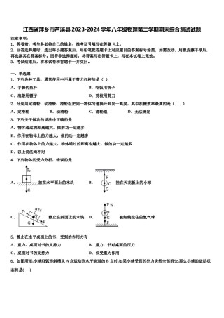 江西省萍乡市芦溪县2023-2024学年八年级物理第二学期期末综合测试试题含解析.doc
