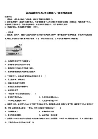 江西省赣州市2024年物理八下期末考试试题含解析.doc