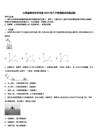 江西省赣州市寻乌县2024年八下物理期末经典试题含解析.doc