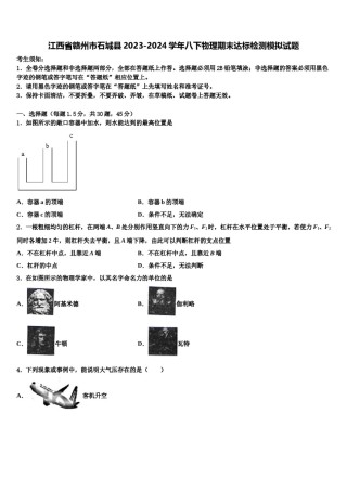 江西省赣州市石城县2023-2024学年八下物理期末达标检测模拟试题含解析.doc